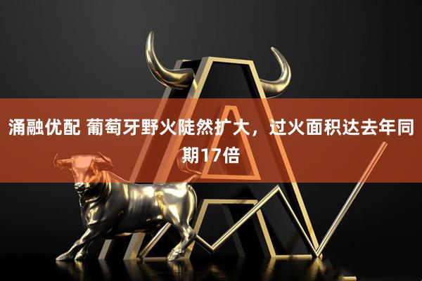 涌融优配 葡萄牙野火陡然扩大，过火面积达去年同期17倍