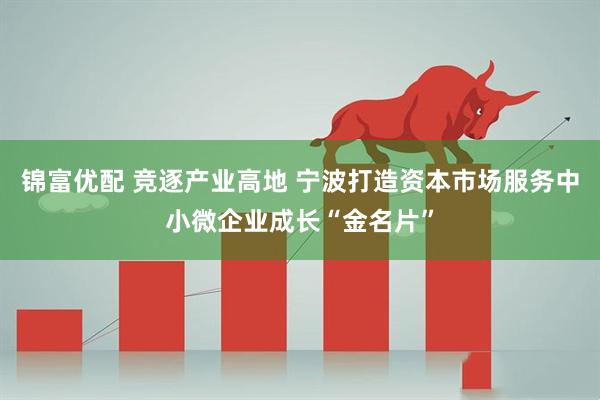 锦富优配 竞逐产业高地 宁波打造资本市场服务中小微企业成长“金名片”